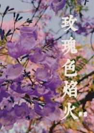 玫瑰色焰火(师生1v1)